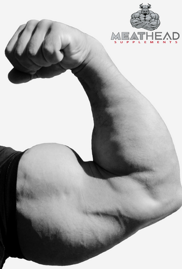 Max Out Your Arm Growth: How to Build the Biggest Arms Humanly Possible