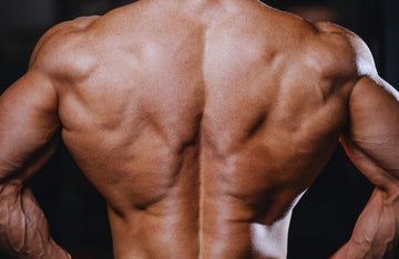 Get That Coveted V-Shape Upper Body: A Guide to Building Width and Taper
