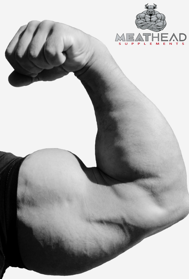 Max Out Your Arm Growth: How to Build the Biggest Arms Humanly Possible